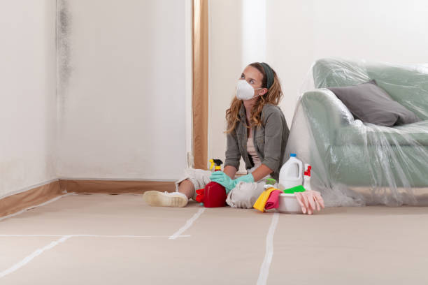 Reliable Crawl Space Mold Removal contractor in Hamel, MN by WQB Mold Removal